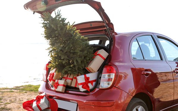 Weihnachtsbaumverkauf bei Pfeiffers startet am 2. Dezember 2022 Weihnachtsbaumverkauf Pfeiffersche Stiftungen
