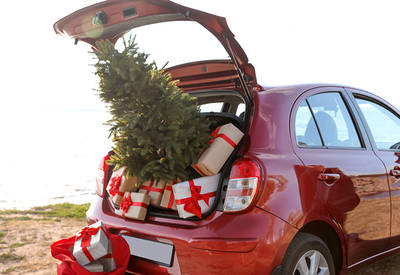 Weihnachtsbaumverkauf bei Pfeiffers startet am 2. Dezember 2022 Weihnachtsbaumverkauf Pfeiffersche Stiftungen