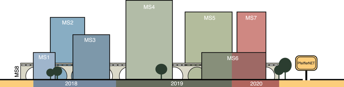 Meilensteine Projekt PfeifferNET
