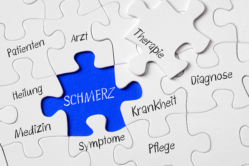 Vortragsabend zur Schmerztherapie am 27.11.23 im Magdeburger Rathaus Schmerztherapie